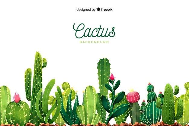 626x417 Cactus Vectors, Photos And Free Download