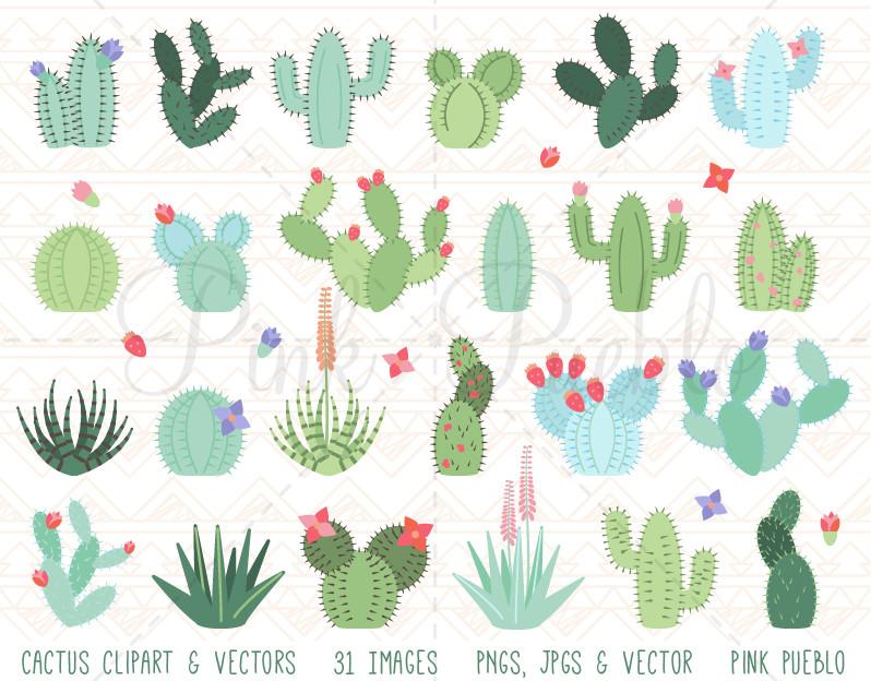 798x624 Cactus And Succulent Clipart And Vectors Pinkpueblo