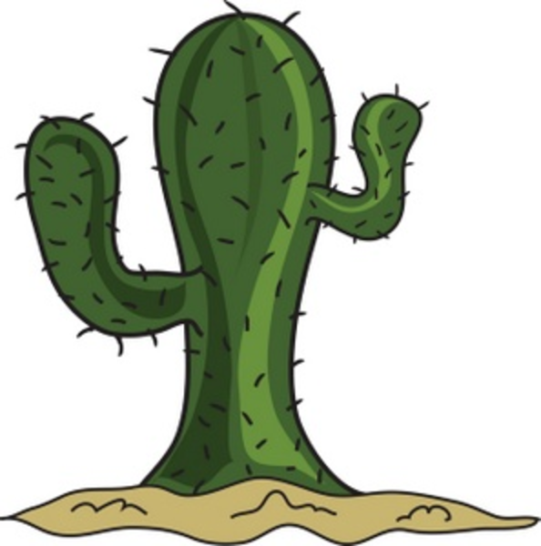 594x600 Cactus Clip Art Vector Online