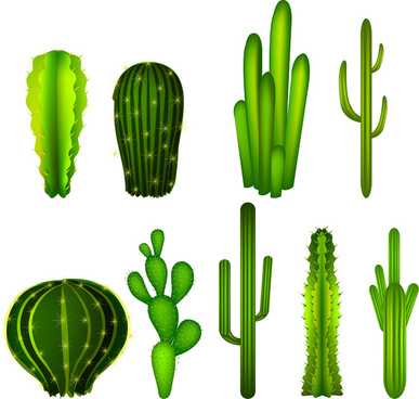 387x368 Cactus Free Vector Download