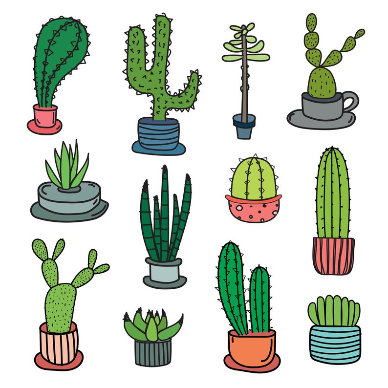 794x794 Hand Drawn Cactus Vector Set Cactus Clipart Set Botanic Etsy