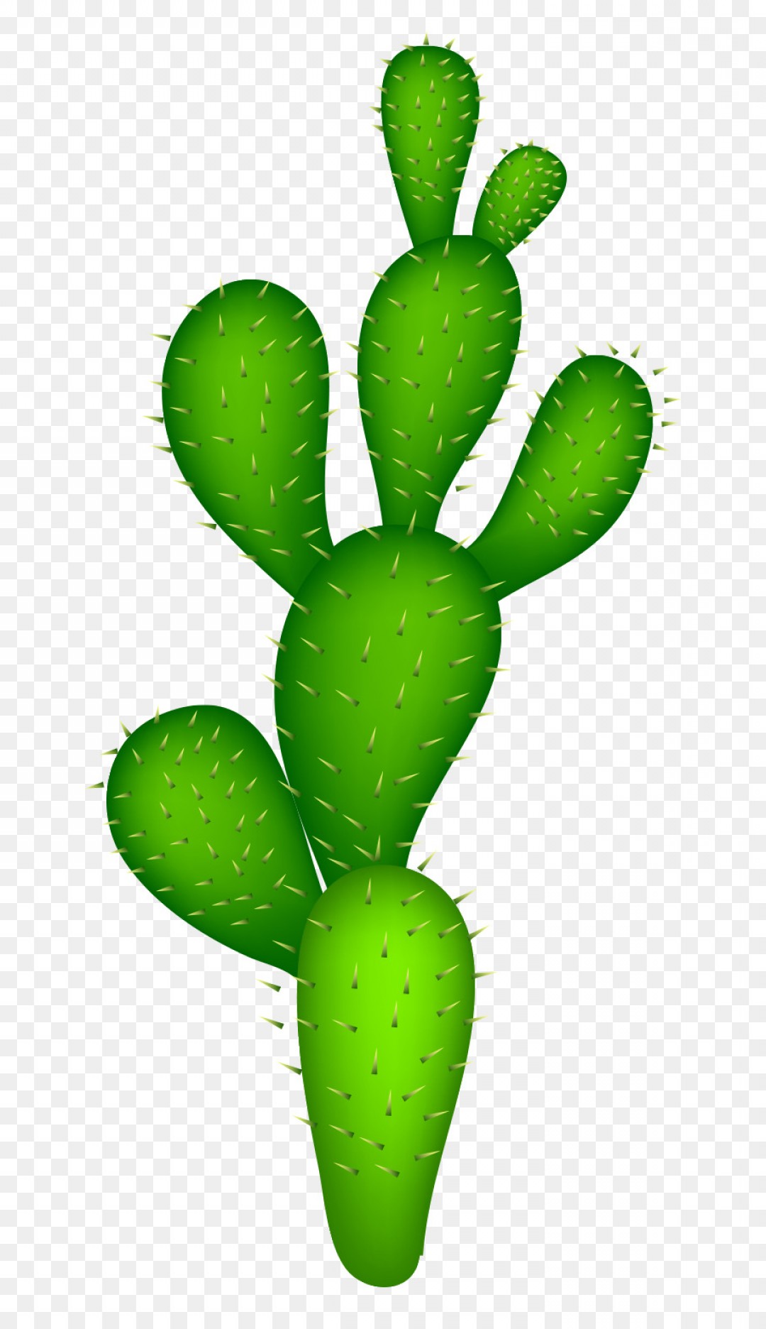 1080x1872 Png Cactaceae Clip Art Vector Green Desert Cactus Soidergi