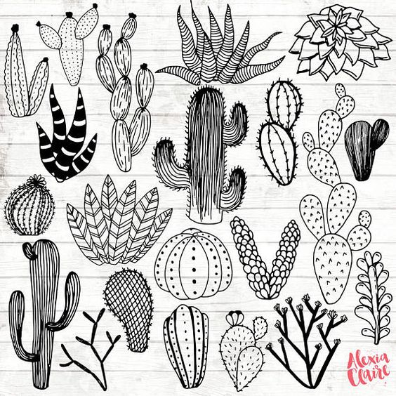 564x564 Cactus Clipart Hand Drawn Cactus Clipart Vector Cactus Art
