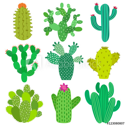 Cactus Flower Set Hand Drawn Plant Collection Vector 500x500 Cactus Flower Set Hand Drawn Plant Collection Vector
