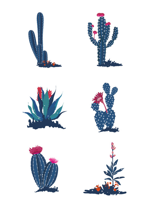 Hand Drawn Plant Cactus Flower Vector Free Download 500x668 Hand Drawn Plant Cactus Flower Vector Free Download