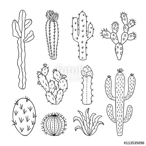 Cactus Outline Vector Illustrations Succulents Plants Doodle 500x500 Cactus Outline Vector Illustrations Succulents Plants Doodle