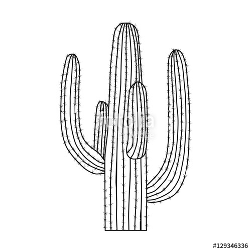 Mexican Cactus Icon In Outline Style Isolated On White Background. 