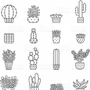 Succulents And Cacti Outline Vector Icons Set Minimalistic Design 300x300 Succulents And Cacti Outline Vector Icons Set Minimalistic Design