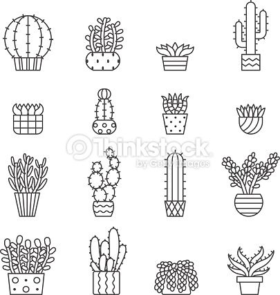 Succulents And Cacti Outline Vector Icons Set Modern Minimalistic 405x427 Succulents And Cacti Outline Vector Icons Set Modern Minimalistic