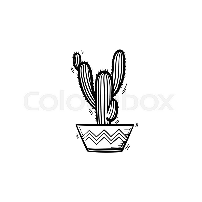 Vector Hand Drawn Cactus Outline Stock Vector Colourbox 800x800 Vector Hand Drawn Cactus Outline Stock Vector Colourbox