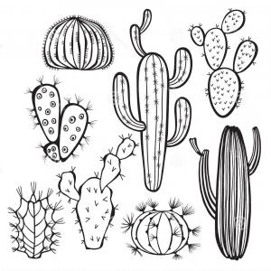 Cactus Outline Vector at Vectorified.com | Collection of Cactus Outline ...