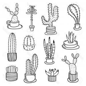 Cactus Icon Plant Vector Art Illustration Catchsplace 300x300 Cactus Icon Plant Vector Art Illustration Catchsplace