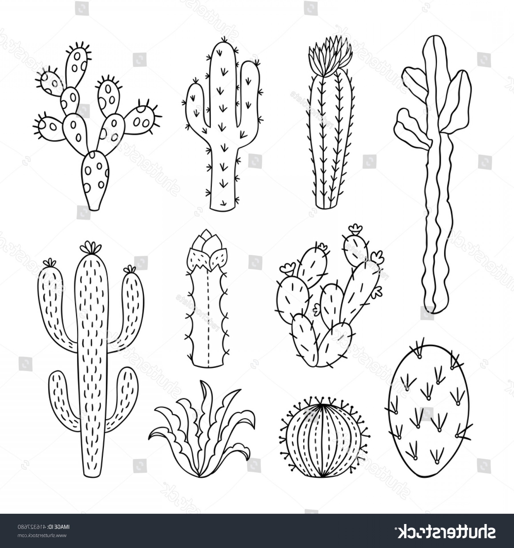 Cactus Outline Vector at Vectorified.com | Collection of Cactus Outline ...