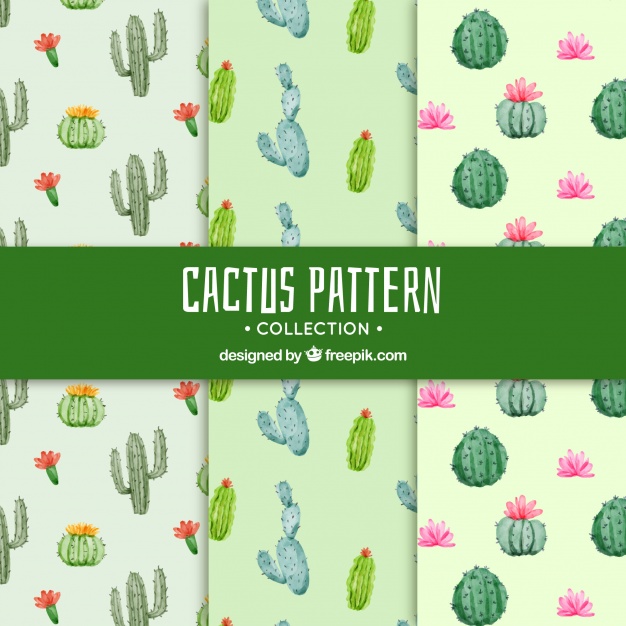 Cactus Patterns With Lovely Style Vector Free Download 626x626 Cactus Patterns With Lovely Style Vector Free Download