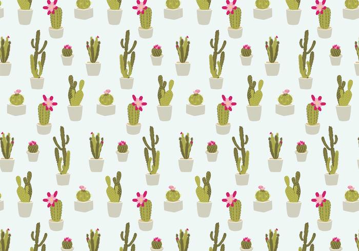 Seamless Cactus Pattern 700x490 Seamless Cactus Pattern