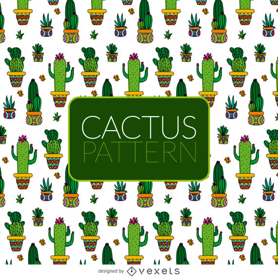 Cactus Illustration Pattern 570x570 Cactus Illustration Pattern
