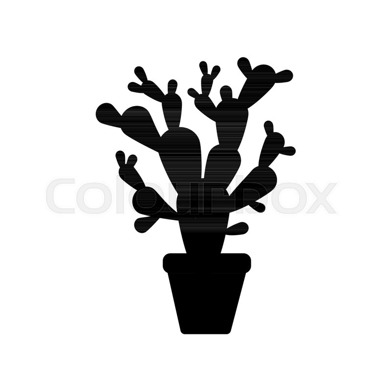 800x800 Cactus Illustration Silhouette On The Stock Vector Colourbox