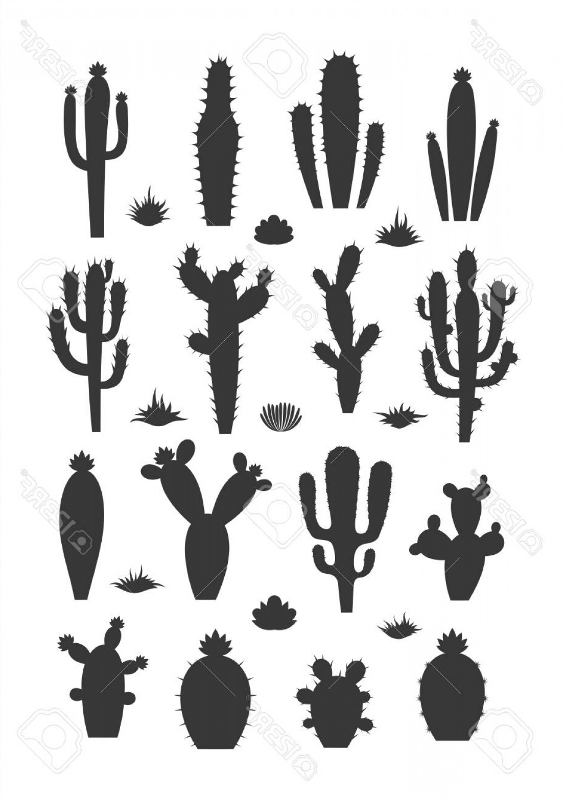 1108x1560 Photostock Vector Cactus Silhouettes With Flowers Different Types