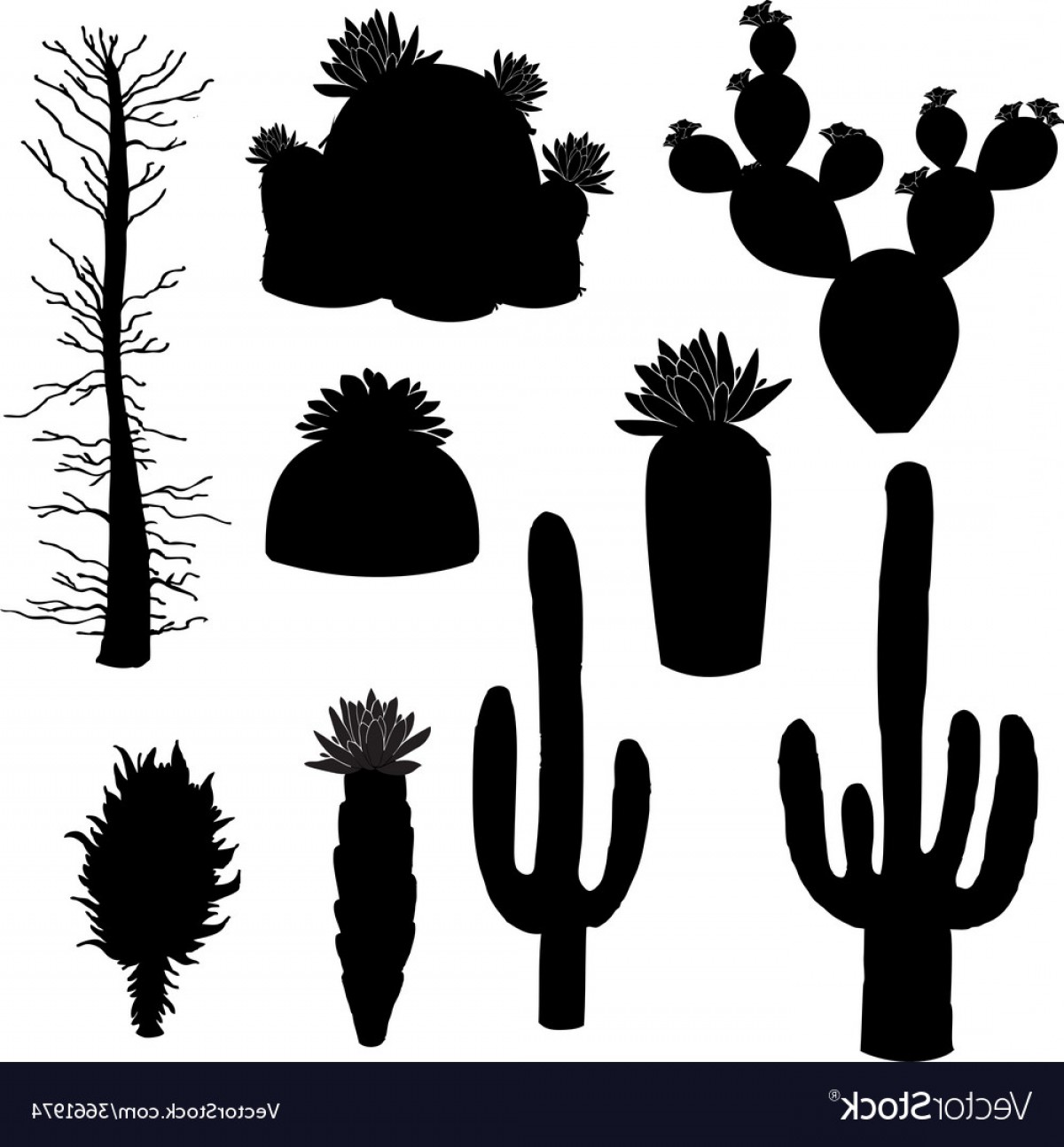 1200x1294 Silhouette Cactus And Tree Vector Catchsplace