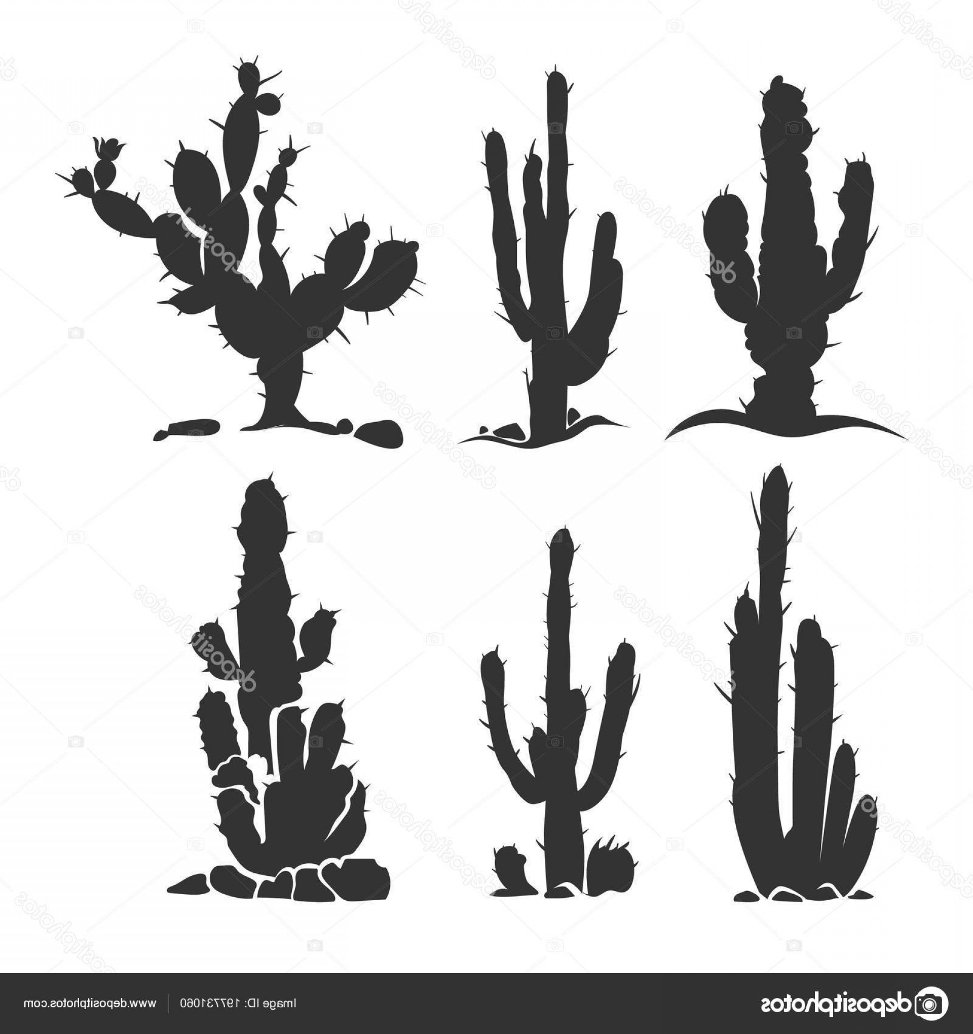 1920x2040 Stock Illustration Desert Cactus Vector Silhouette Plants Soidergi