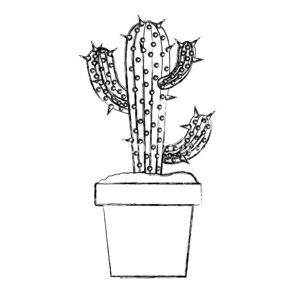 1000x1000 Blurred Silhouette Cactus Of Three Branches In Pot Vector
