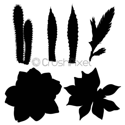 500x500 Black Silhouettes Of Hand Drawn Cactus Set Desert Exotic Plants