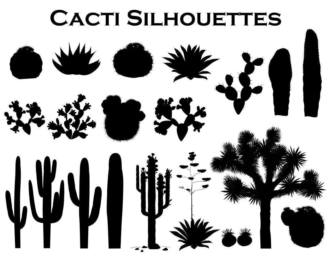 1150x900 Cactus Collection