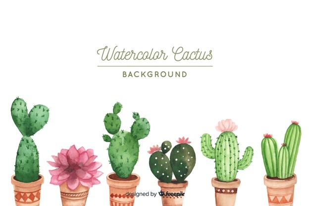 Cactus Vectors, Photos And Free Download 626x417 Cactus Vectors, Photos And Free Download