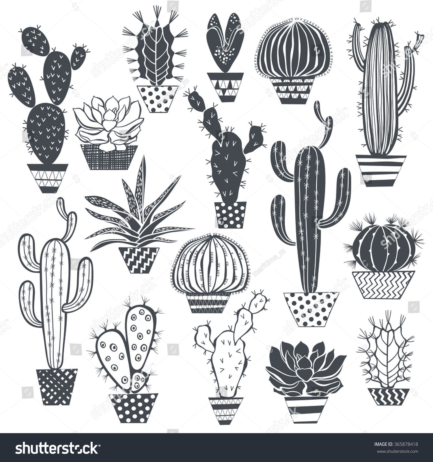 Cactus And Succulents Isolated On White Background Vector, Hand 1500x1600 Cactus And Succulents Isolated On White Background Vector, Hand