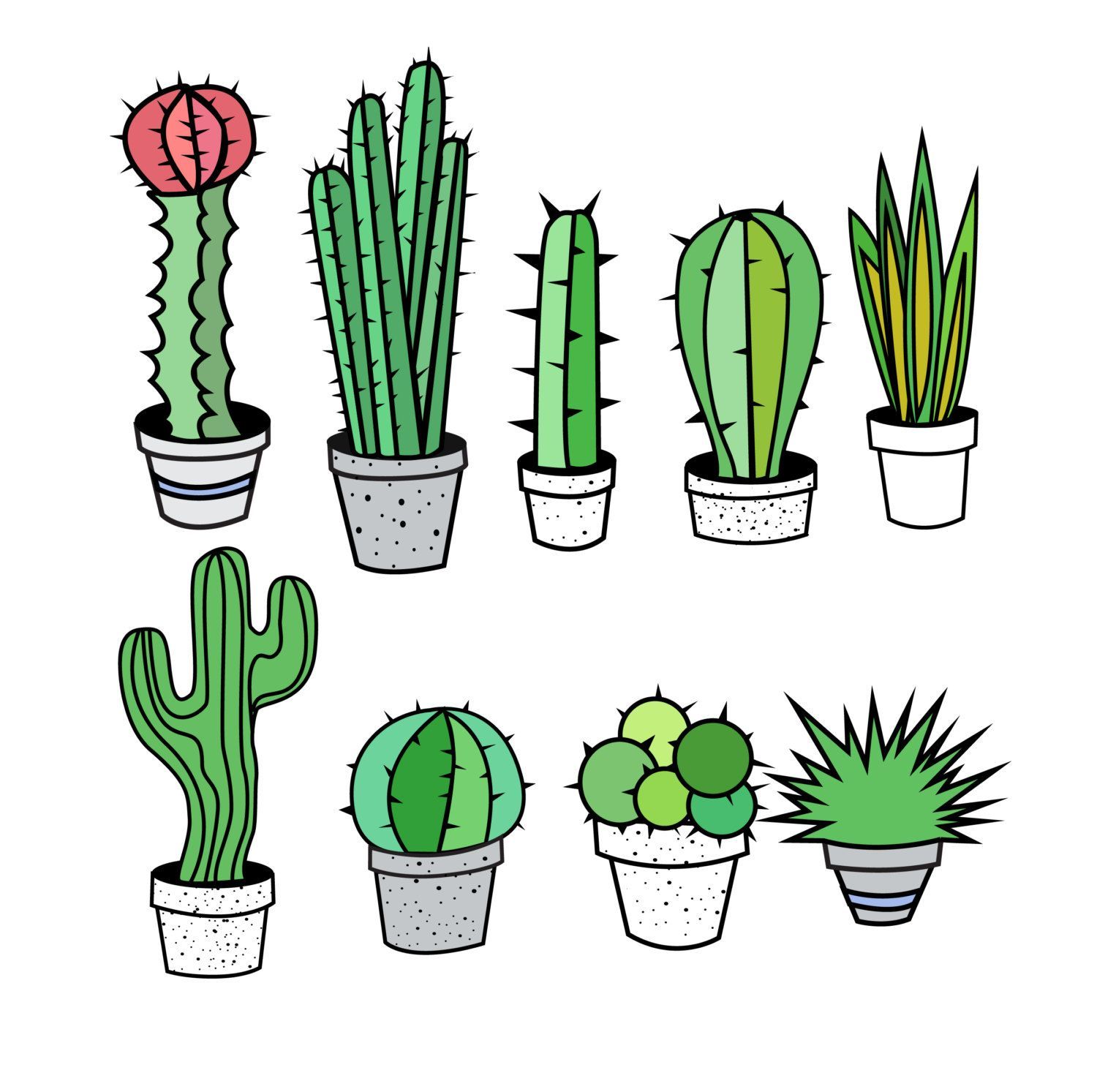 Cactus Vector Clipart Clipart Portal 1500x1493 Cactus Vector Clipart Clipart Portal
