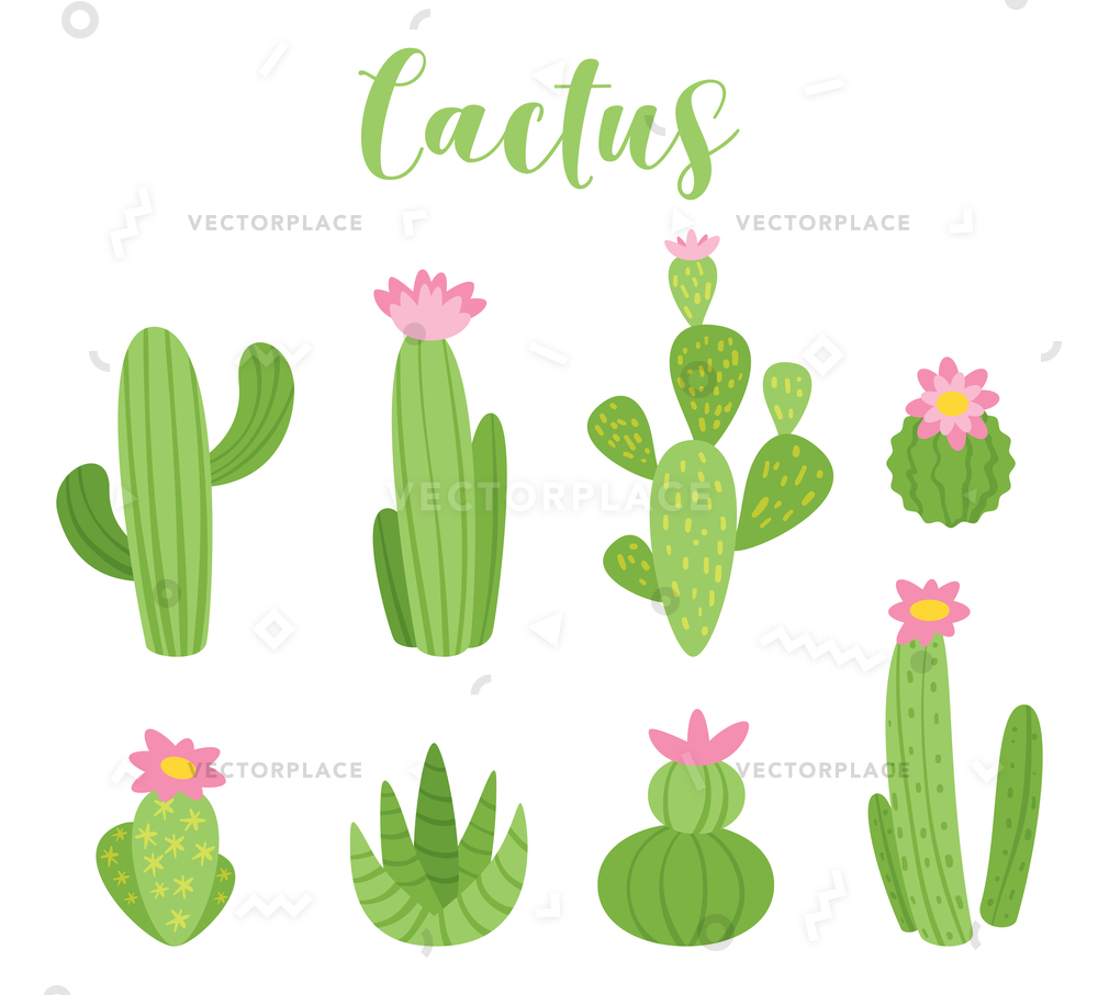 Cute Cactus For Any Purposes Green Vector Illustration 1000x907 Cute Cactus For Any Purposes Green Vector Illustration