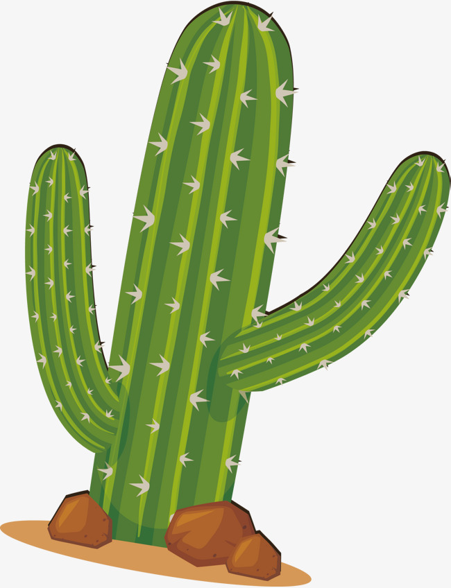 Cactus In The Desert, Cactus Vector, Vector Png, Plants Png 650x848 Cactus In The Desert, Cactus Vector, Vector Png, Plants Png