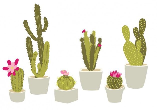 Cactus Vectors, Photos And Free Download Vector Art 626x438 Cactus Vectors, Photos And Free Download Vector Art