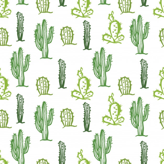 Cactus Vectors, Photos And Free Download 626x626 Cactus Vectors, Photos And Free Download