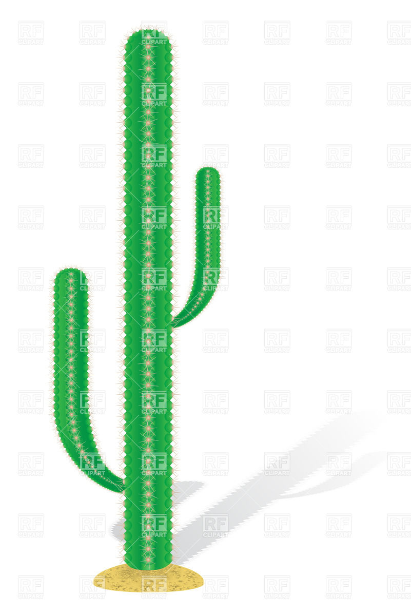 Mexican Cactus Vector Image Of Plants And Animals Konturvid 801x1200 Mexican Cactus Vector Image Of Plants And Animals Konturvid
