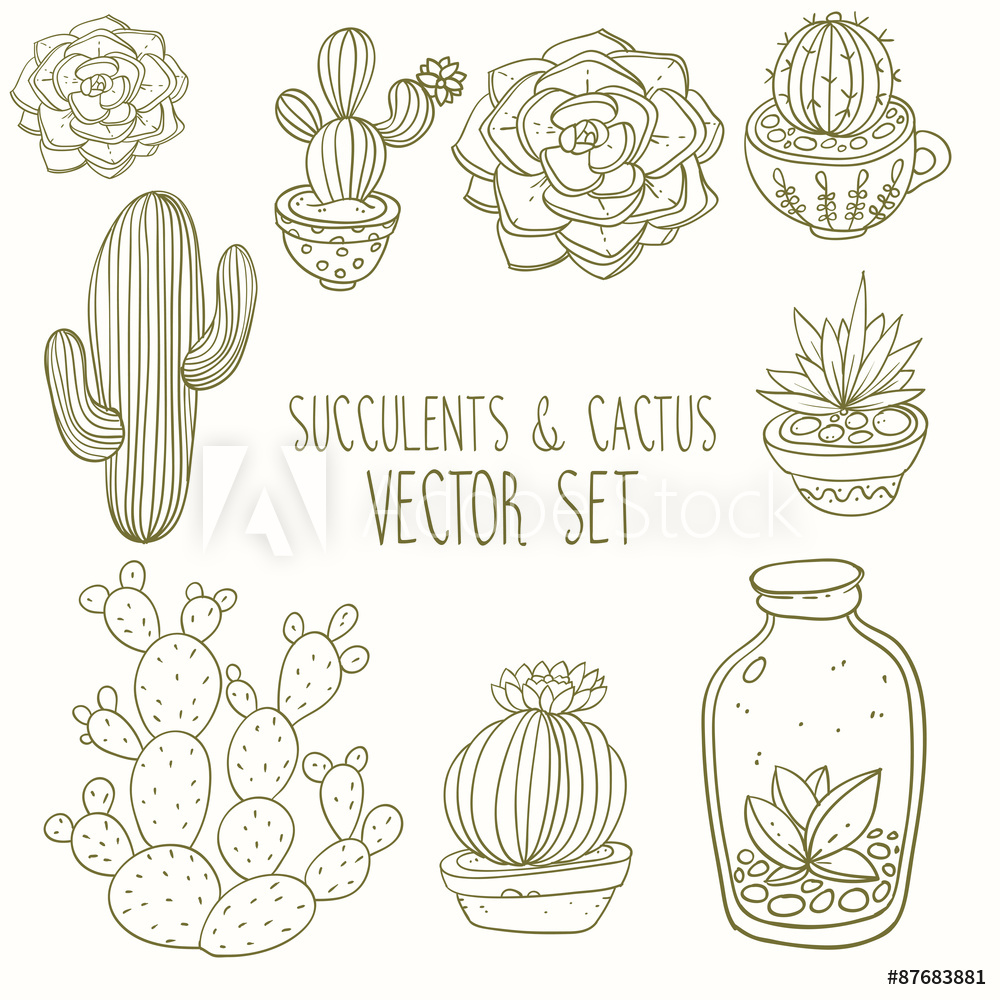 Photo Art Print Succulents And Cactus Vector Handpainted Set 1000x1000 Photo Art Print Succulents And Cactus Vector Handpainted Set