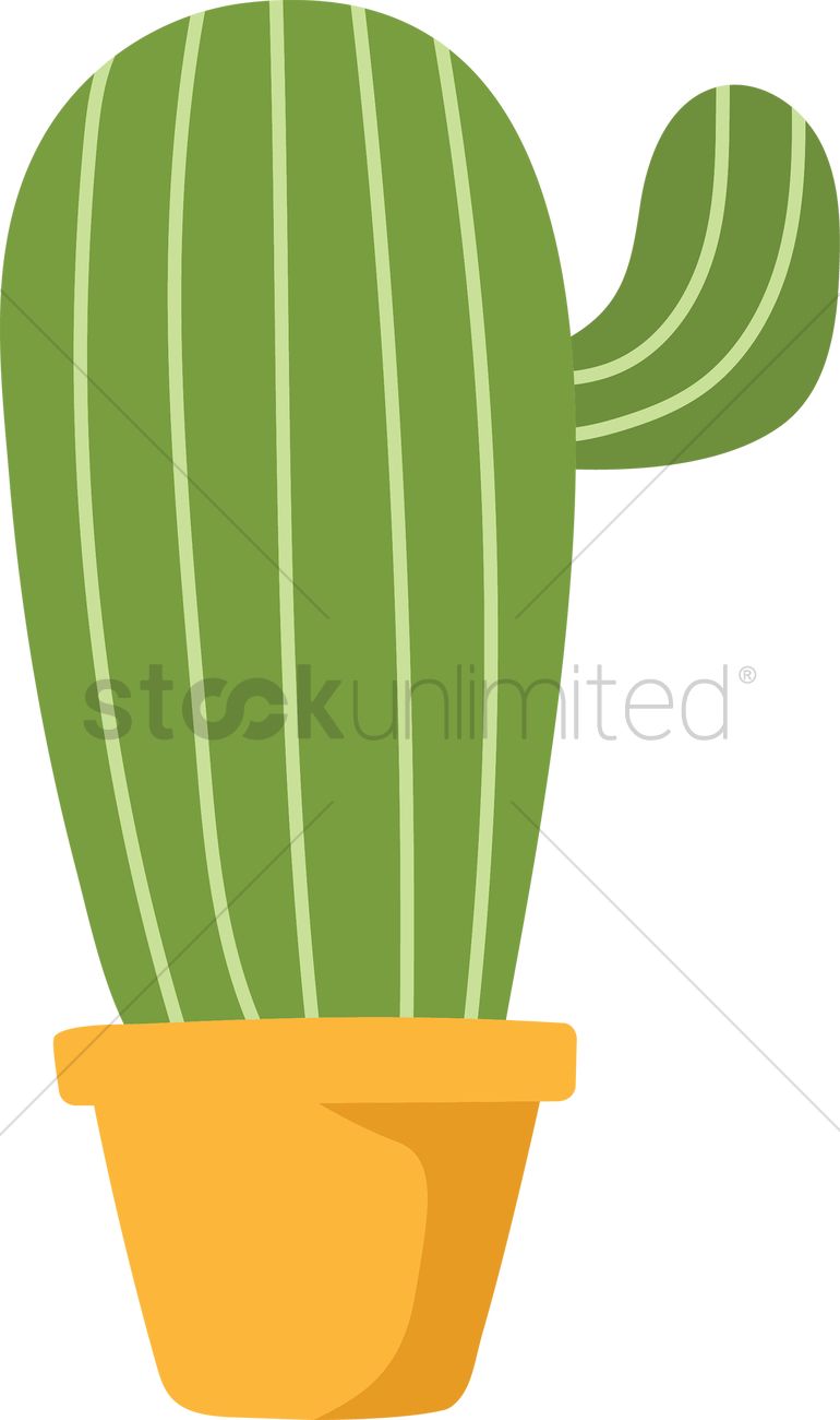 Potted Cactus Vector Image 770x1300 Potted Cactus Vector Image