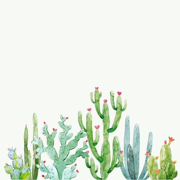 Watercolor Cactus Vector Composition Art Print 600x600 Watercolor Cactus Vector Composition Art Print