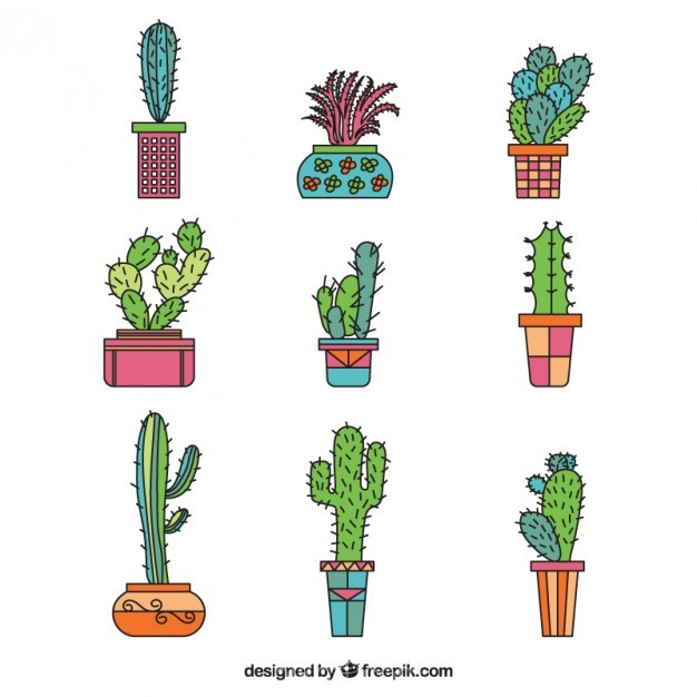 Collection Of Hand Drawn Cactus Vector Free Download 626x626 Collection Of Hand Drawn Cactus Vector Free Download