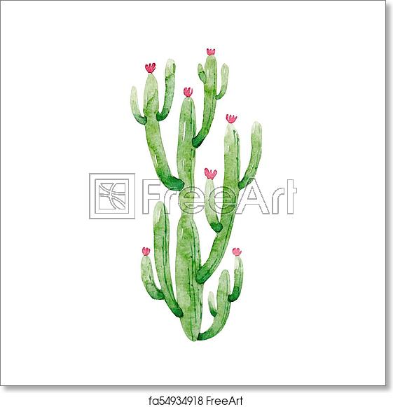 Free Art Print Of Watercolor Cactus Vector Illustration Beautiful 561x581 Free Art Print Of Watercolor Cactus Vector Illustration Beautiful