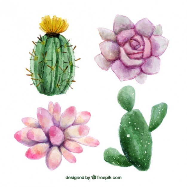 Watercolor Hand Painted Flowers And Cactus Vector Free 626x626 Watercolor Hand Painted Flowers And Cactus Vector Free