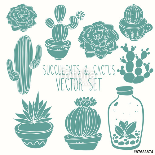 Succulents And Cactus Vector Handpainted Set Stock Image 500x500 Succulents And Cactus Vector Handpainted Set Stock Image