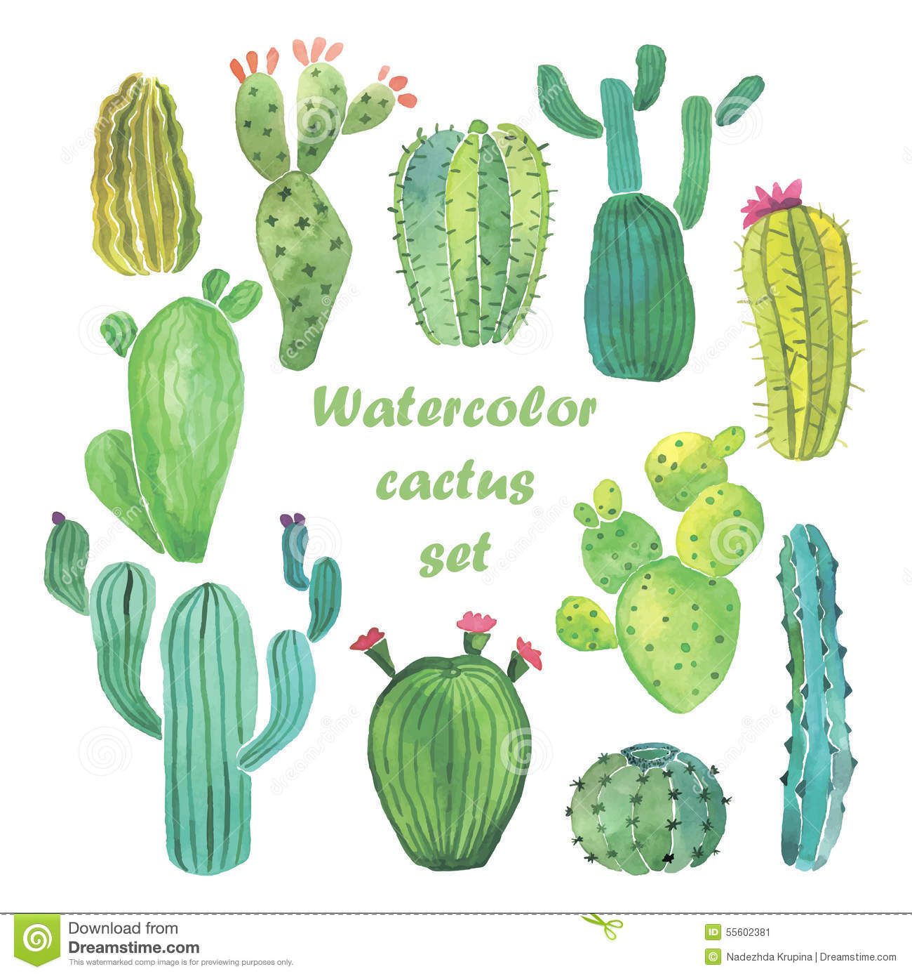 Watercolor Cactus Set 1300x1390 Watercolor Cactus Set