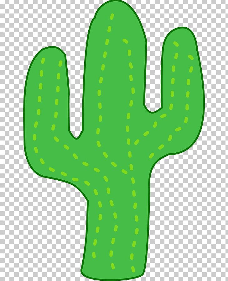 Cactaceae Barrel Cactus Free Content Png, Clipart, Area, Barrel 728x896 Cactaceae Barrel Cactus Free Content Png, Clipart, Area, Barrel