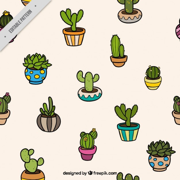 626x626 Pattern Of Several Cactus Vector Free Download