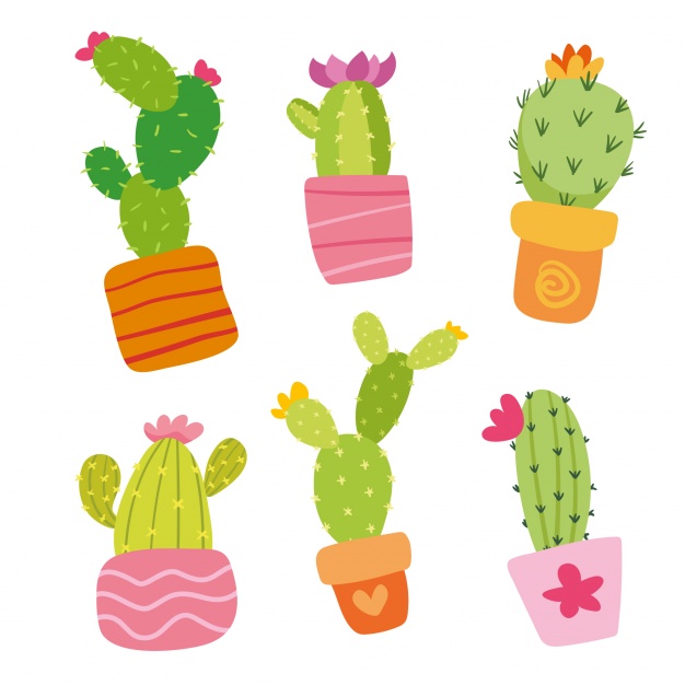 626x626 Coloured Cactus Collection Vector Free
