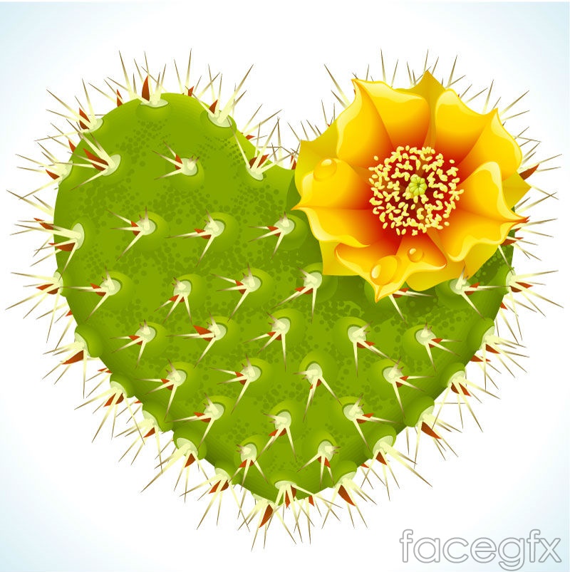 800x803 Green, Heart Shaped Flowering Cactus Vector Over Millions