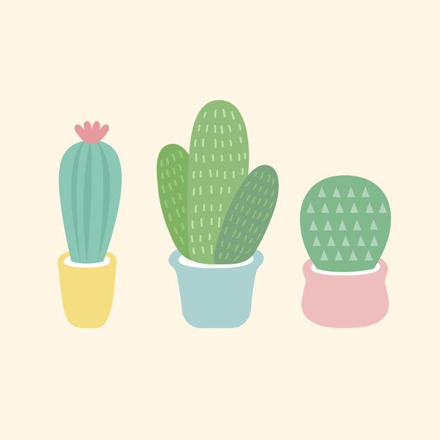 626x626 Three Small Cacti Vector Free Vector Illustration