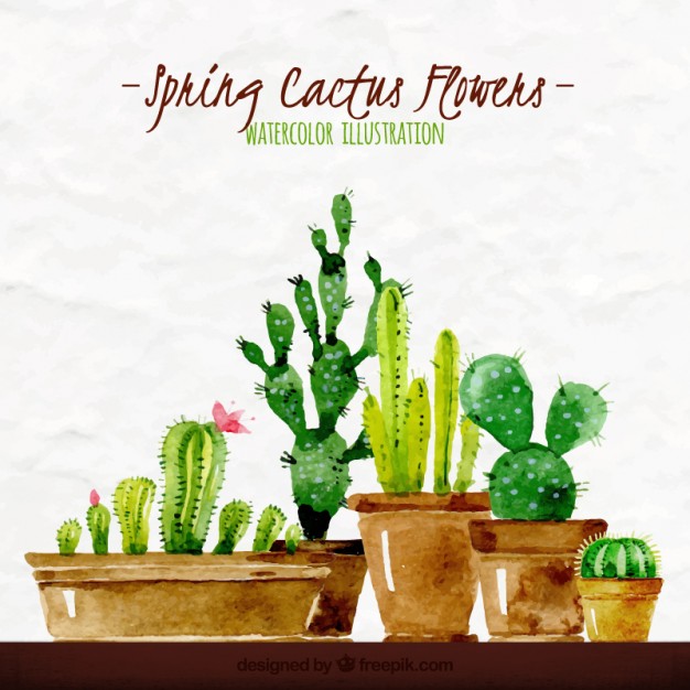 626x626 Watercolor Spring Cactus Illustration Free Vectors Ui Download