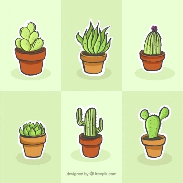 626x625 Cactus Drawing Set Vector Free Download Cute Plant Biyogekaninki